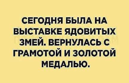 Смотреть прикольные до слез картинки с шутками