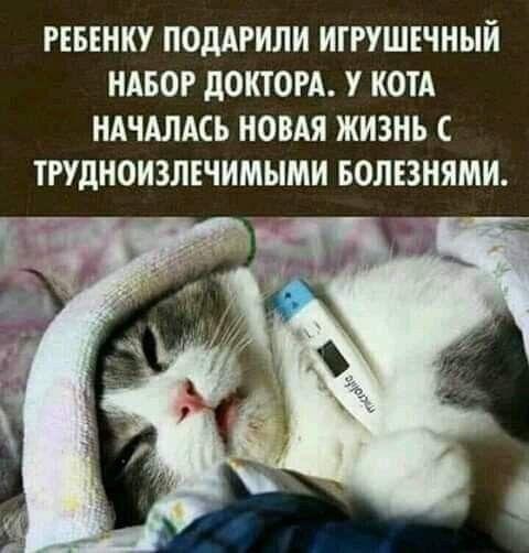 Свежие мемы сегодняшнего дня (четверг)