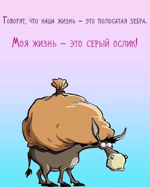 Свежие мемы сегодняшнего дня (пятница)