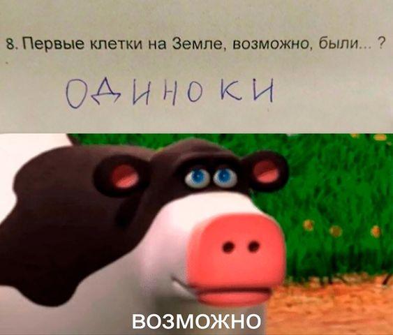 Свежие мемы на сегодняшний день (понедельник)