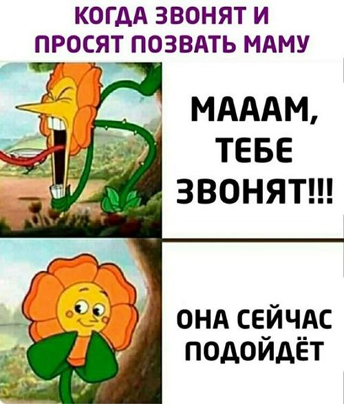 Свежие мемы на сегодняшний день (пятница)