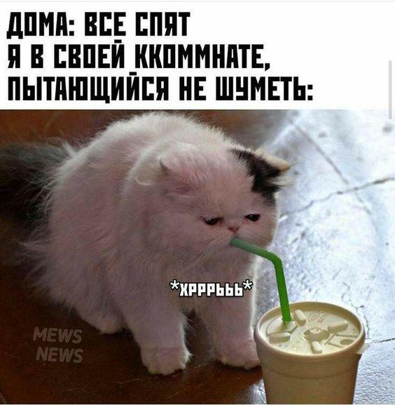 Свежие мемы вторника