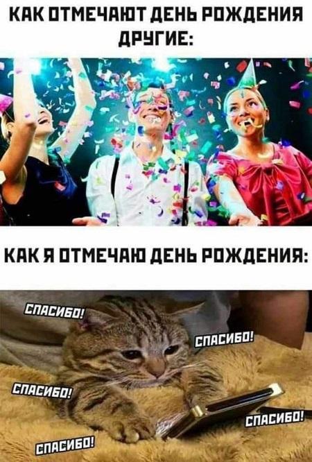 Свежие мемы вторника