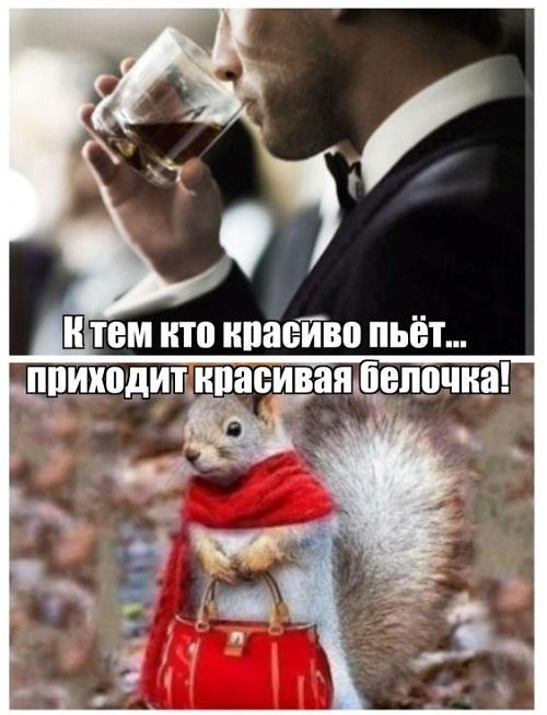 Свежие мемы вторника