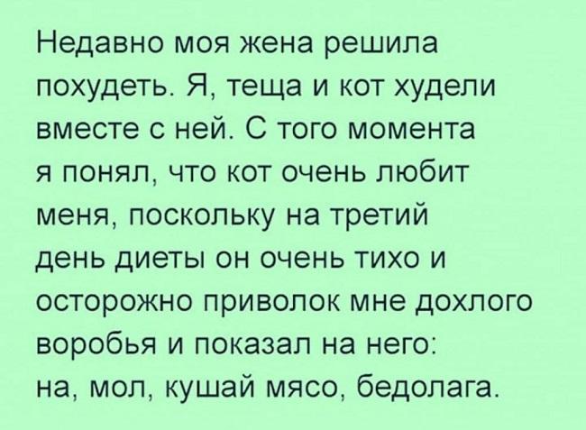 Подробнее о статье Читать реальные истории их жизни