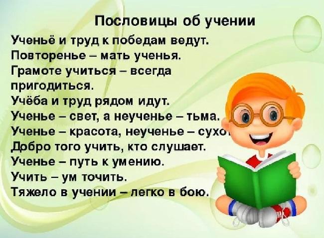 Подробнее о статье Пословицы про образование и учение