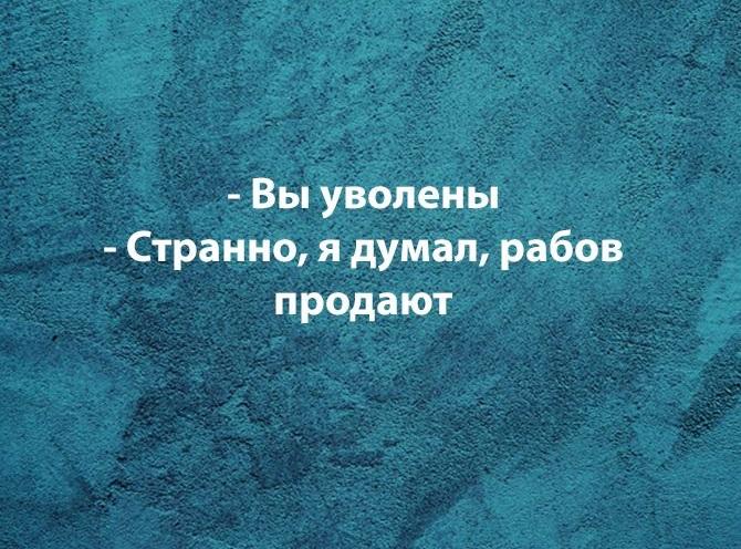 Смешные фразы и шутки про работу на картинках