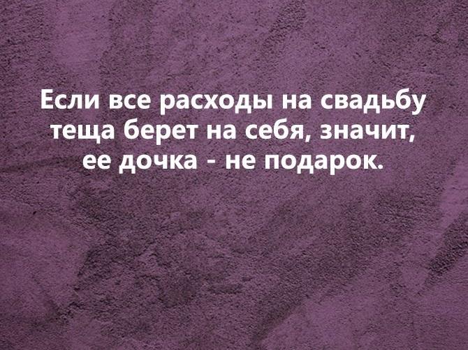 Прикольные фразы и шутки про зятя и тещу на картинках