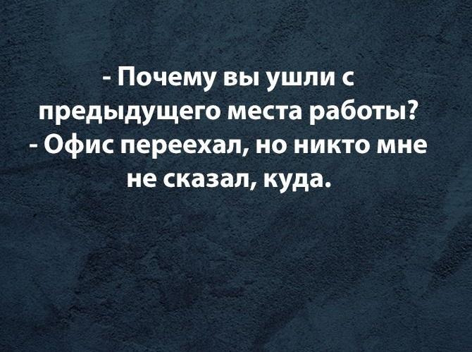 Смешные фразы и шутки про работу на картинках