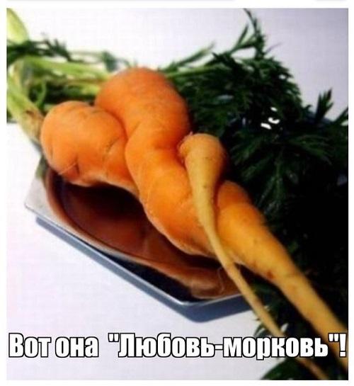 Свежие мемы данного вторника