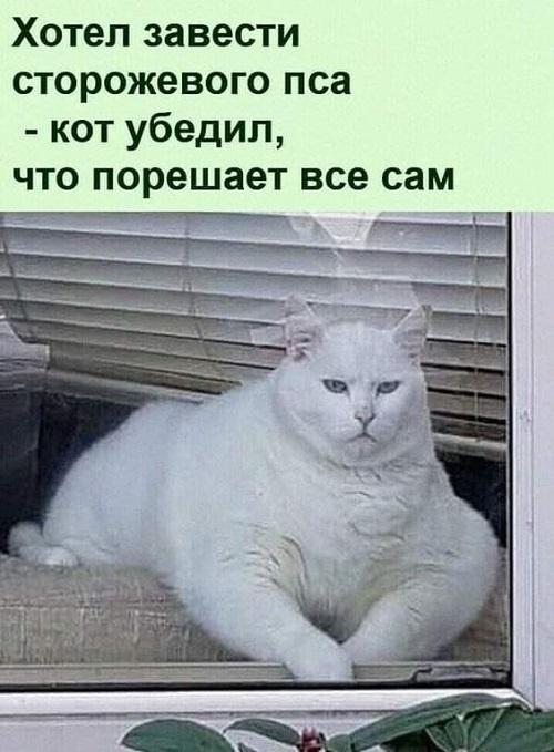 Свежие мемы нового вторника