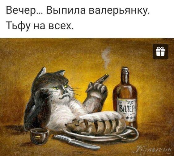 Свежие мемы новой среды