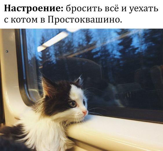 Свежие мемы новой пятницы