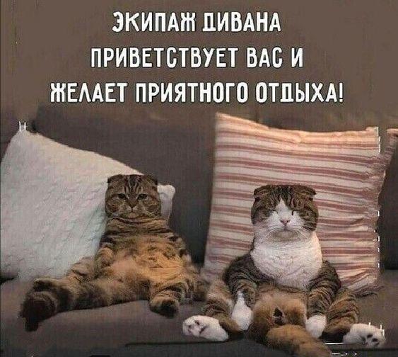 Свежие мемы на понедельник