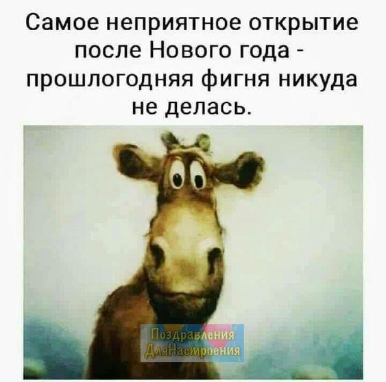 Свежие мемы на среду