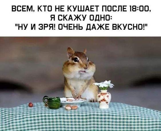 Свежие мемы для понедельника