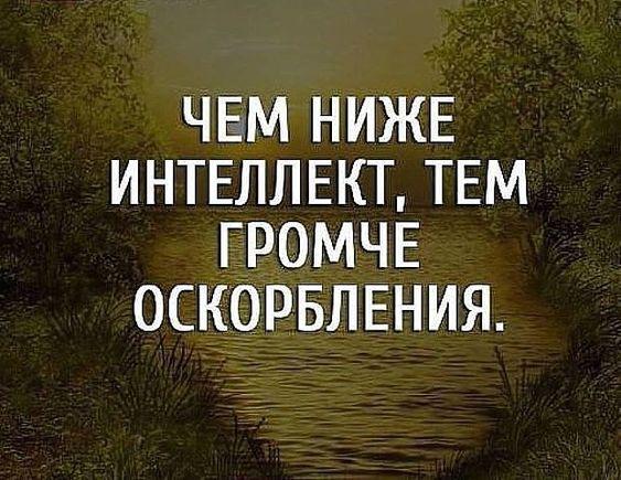 Подробнее о статье Короткие очень смешные фразы