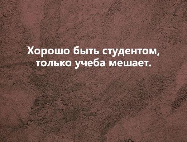 Подробнее о статье Лучшие смешные статусы про учебу