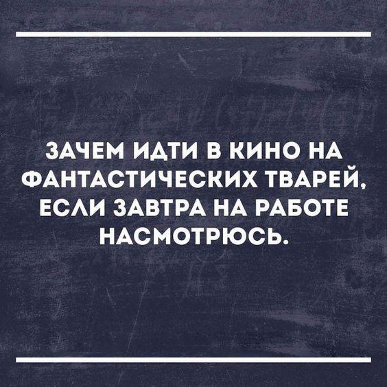 Подробнее о статье Свежие шутки данной среды