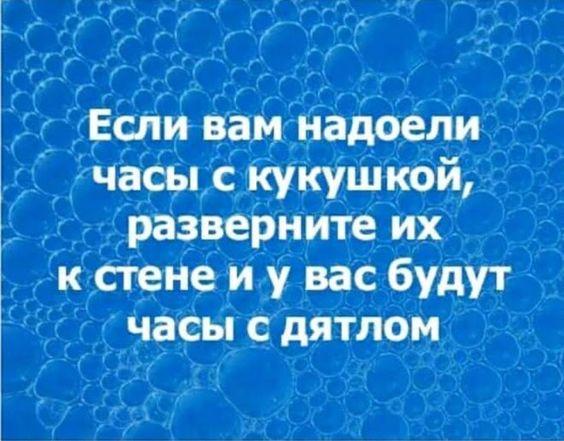 Подробнее о статье 25 абсолютно свежих шуток пятницы