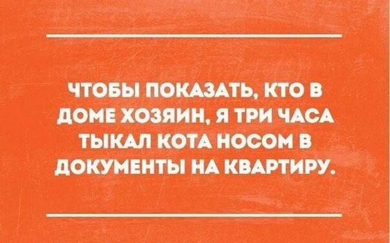 Подробнее о статье 25 самых свежих шуток пятницы