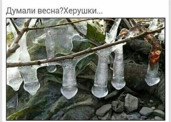 Супер смешные картинки