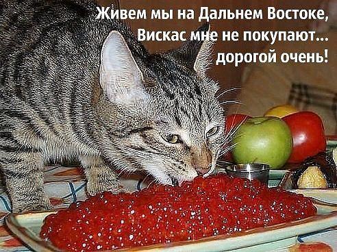 Супер веселые картинки