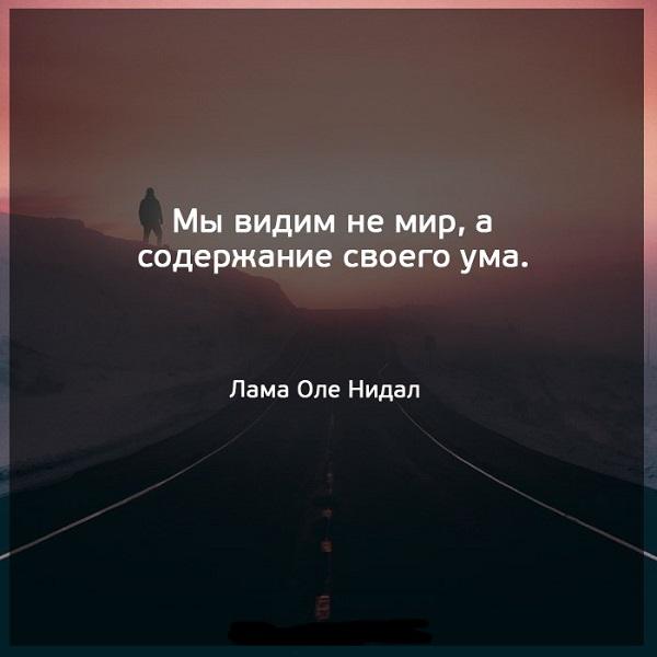 Подробнее о статье Мудрые фразы и цитаты про ум