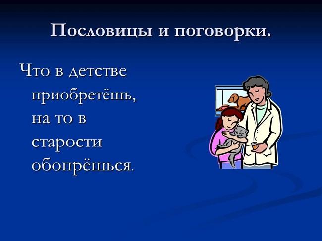 Пословицы про старость на картинках