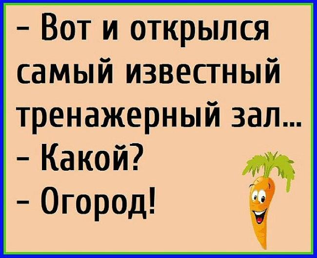 Подробнее о статье Смешные статусы и фразы про огород и дачу