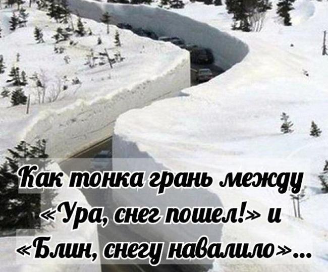 Подробнее о статье Смешные статусы и шутки про зиму и снег