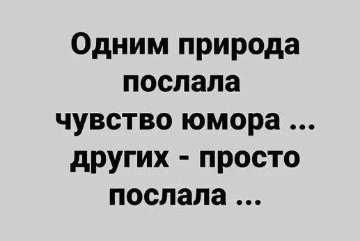 Подробнее о статье 25 свежих шуток на утро четверга