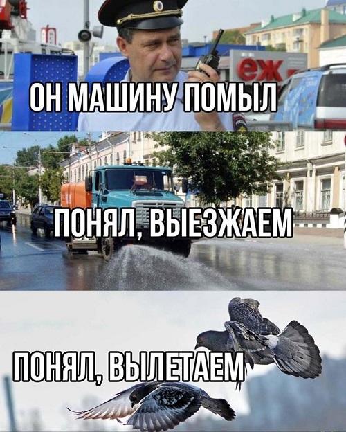 Классные смешные картинки