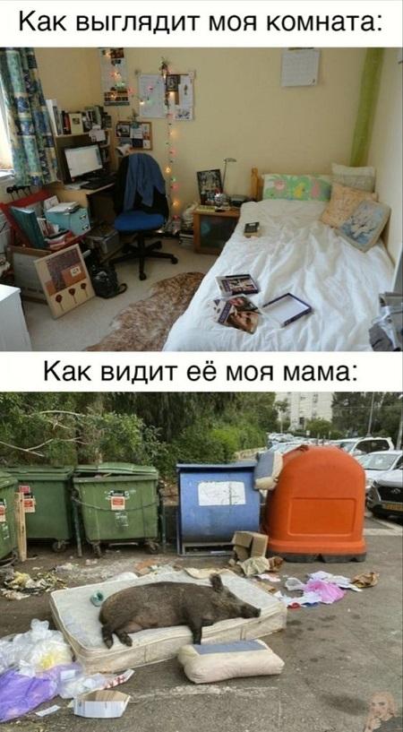 Самые смешные картинки