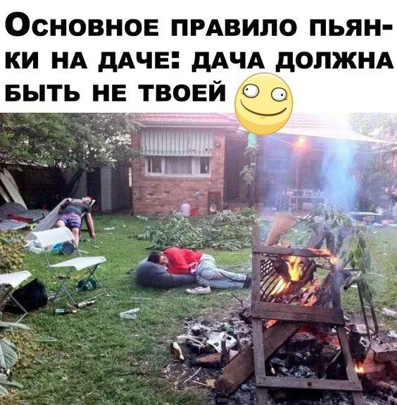 Самые смешные картинки