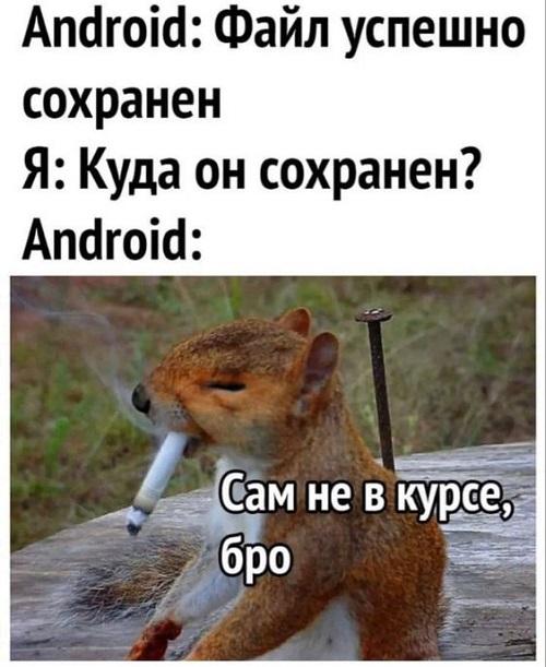 Супер улетные картинки