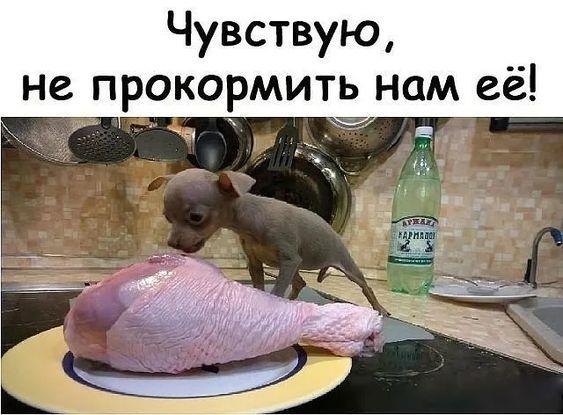 Самые лучшие веселые картинки