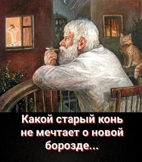 Самые прикольные картинки