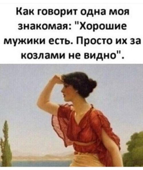 Очень забавные картинки