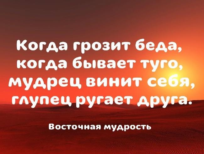 Подробнее о статье Умные цитаты про беду