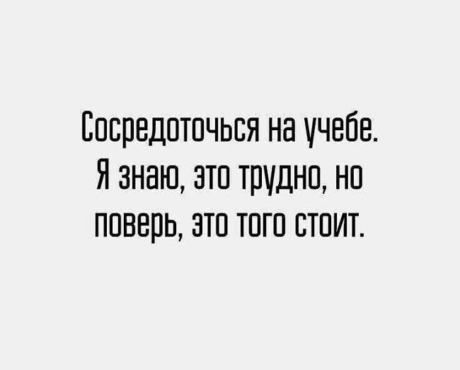 Подробнее о статье Короткие цитаты и фразы про учебу