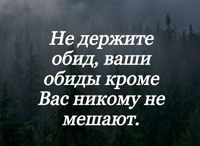 Подробнее о статье Мудрые фразы и цитаты про обиду