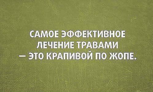 Картинки со смышными шутками на различные темы