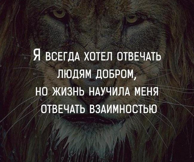 Подробнее о статье Цитаты про взаимность