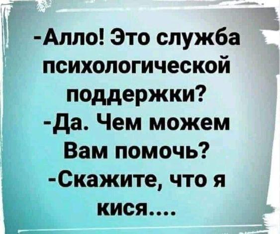 Подробнее о статье Подборка самых свежих шуток на сегодня