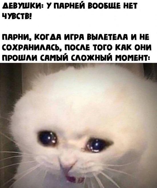 Свежие мемы на утро пятницы