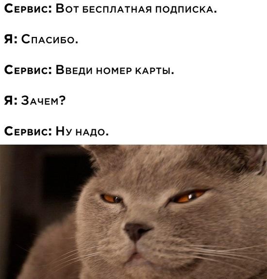 Свежие мемы на утро (31.05.2023)