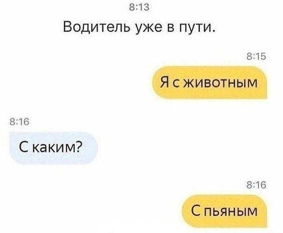 Смешные и угарные картинки