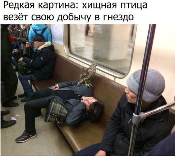 Смешные до слез угарные картинки