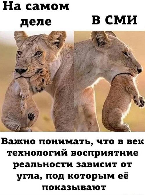 Смешные до слез и забавные картинки